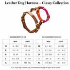 Comprehensive measurement schematic featuring a dog silhouette, detailing neck and chest dimensions in centimeters and inches for the perfect harness fit.