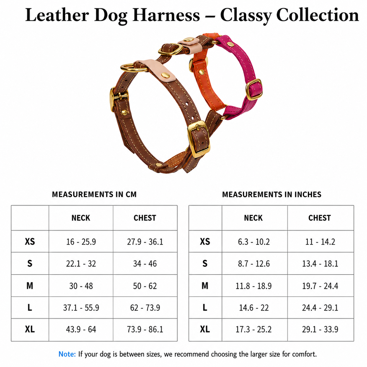 Comprehensive measurement schematic featuring a dog silhouette, detailing neck and chest dimensions in centimeters and inches for the perfect harness fit.