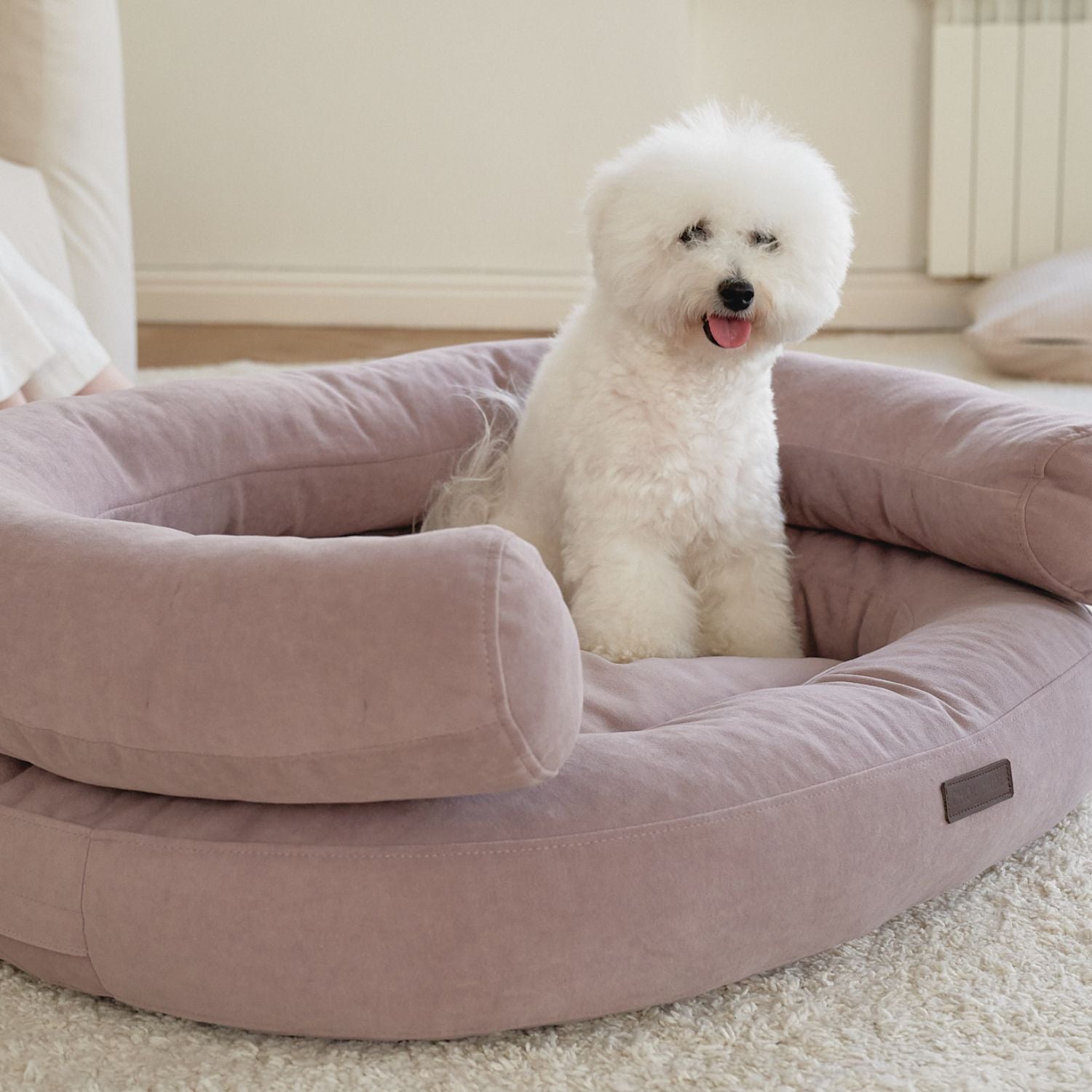Cute white Bichon Frise sitting comfortably inside the pink Marshmallow orthopedic dog bed by CHOUCHOÚ in a bright modern living room.