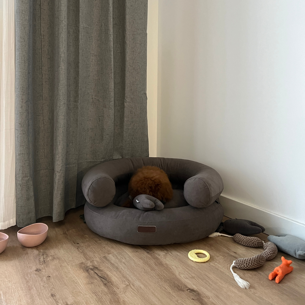 Deep sleep captured as a small brown companion rests entirely enclosed within the protective circular bolsters of the dark orthopedic sanctuary.