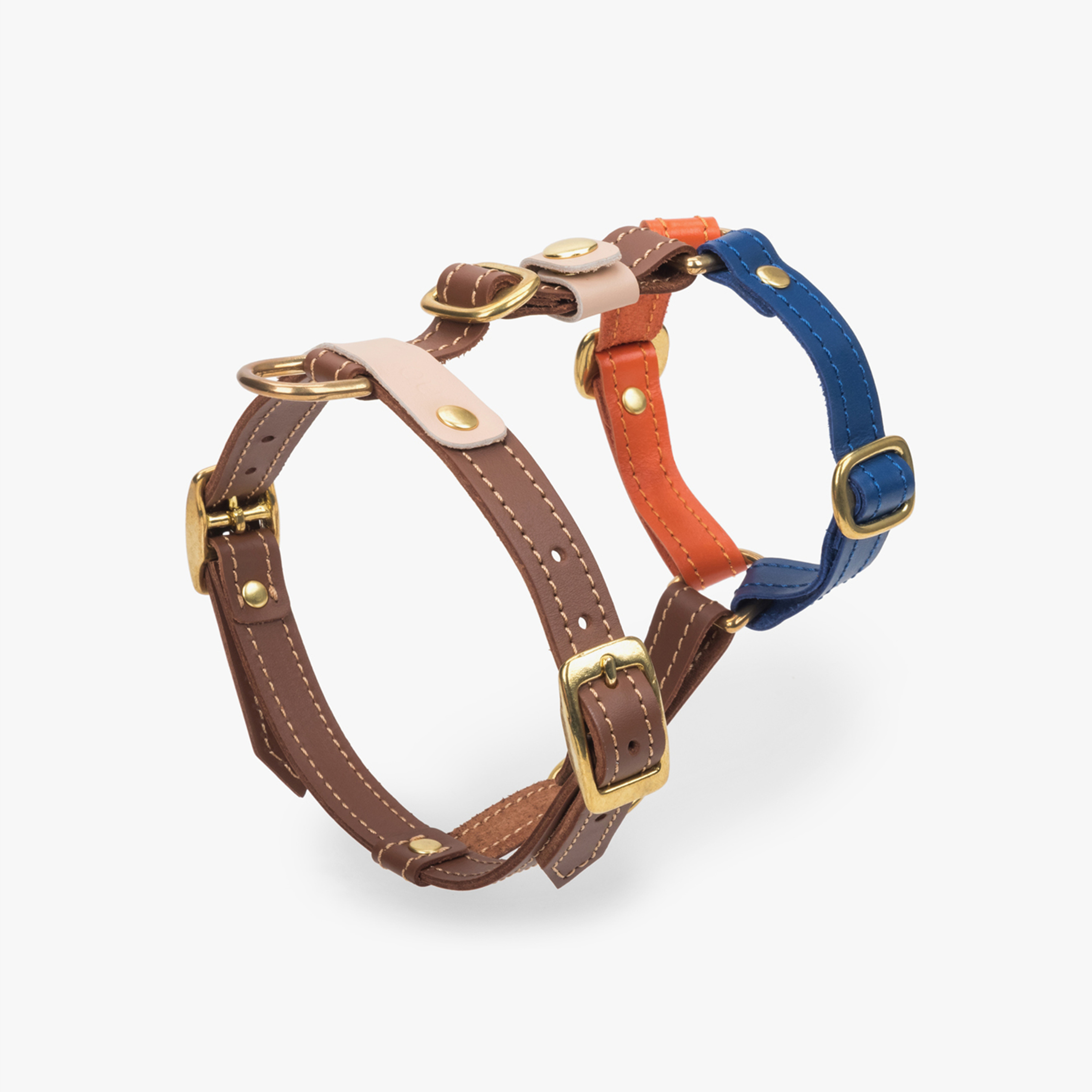 Vivid panels of blue, orange, and pink Italian leather form an avant-garde canine chest piece, punctuated by gleaming brass buckles.