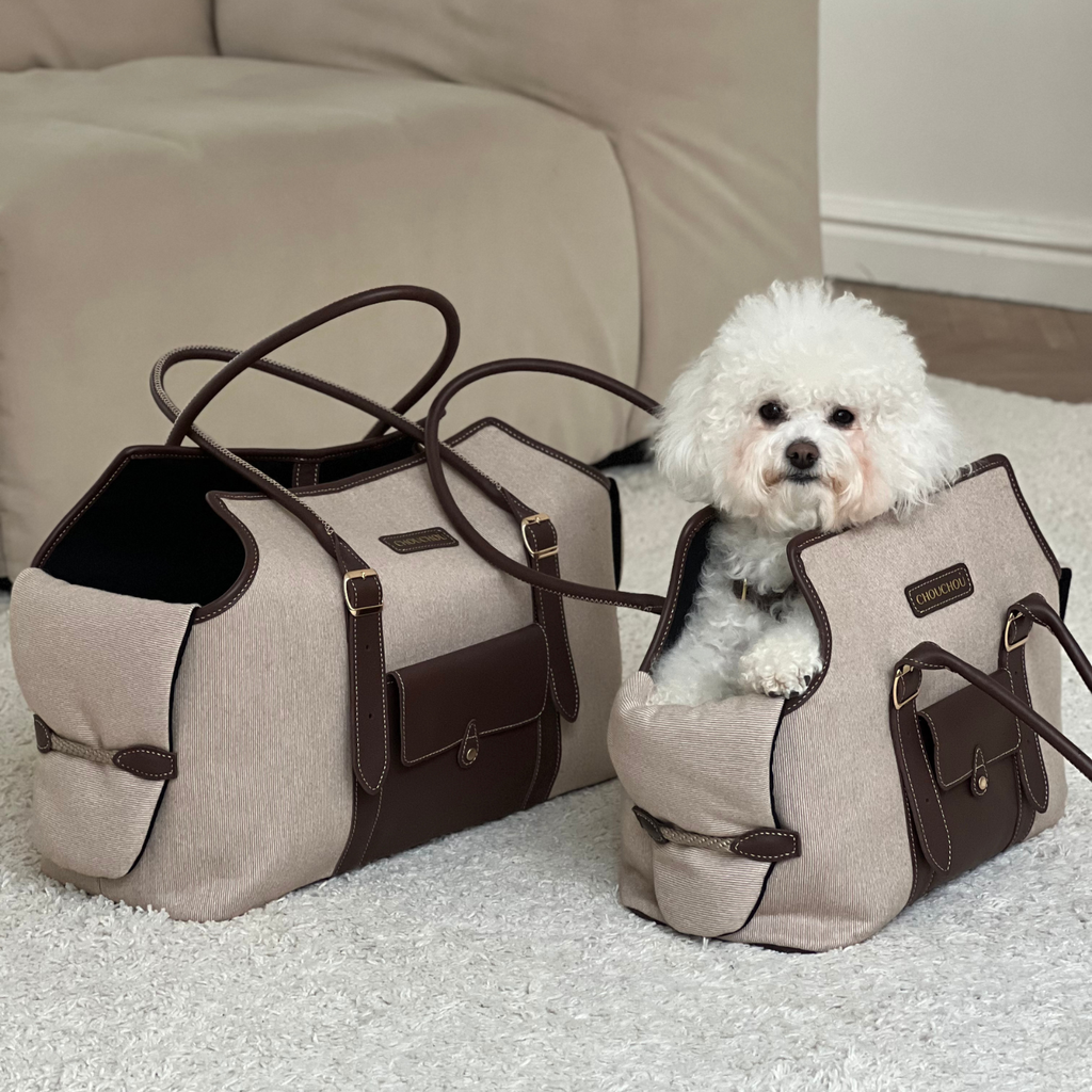 Side-by-side scale comparison of the Classy collection carriers. A calm Bichon models the compact size next to the spacious medium weekender option.