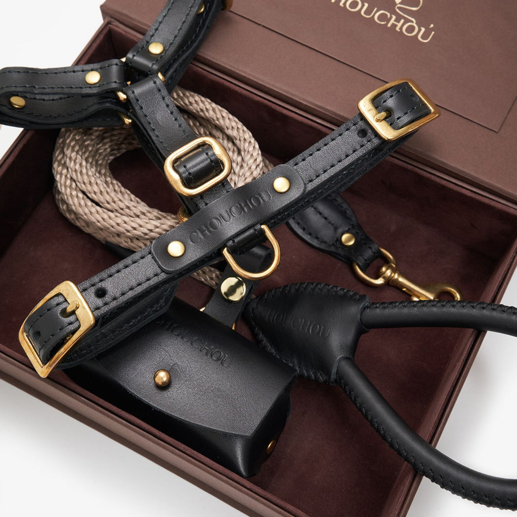 Close-up of the premium black leather dog harness and waste bag dispenser by CacheMio & CHOUCHOÚ inside the signature packaging.