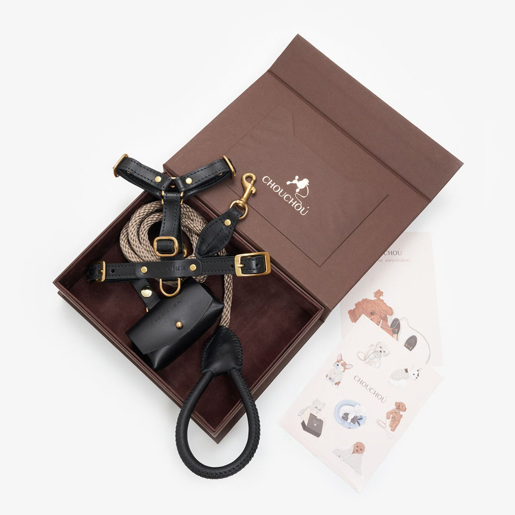Top-down view of the luxurious black leather dog walking set by CacheMio & CHOUCHOÚ, presented in a brown gift box with care cards.