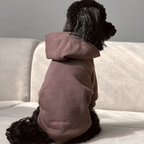Striking visual contrast highlights a jet-black poodle facing a sunlit wall, dressed in the heavy-duty cocoa sweater with subtle pink typographic embroidery.