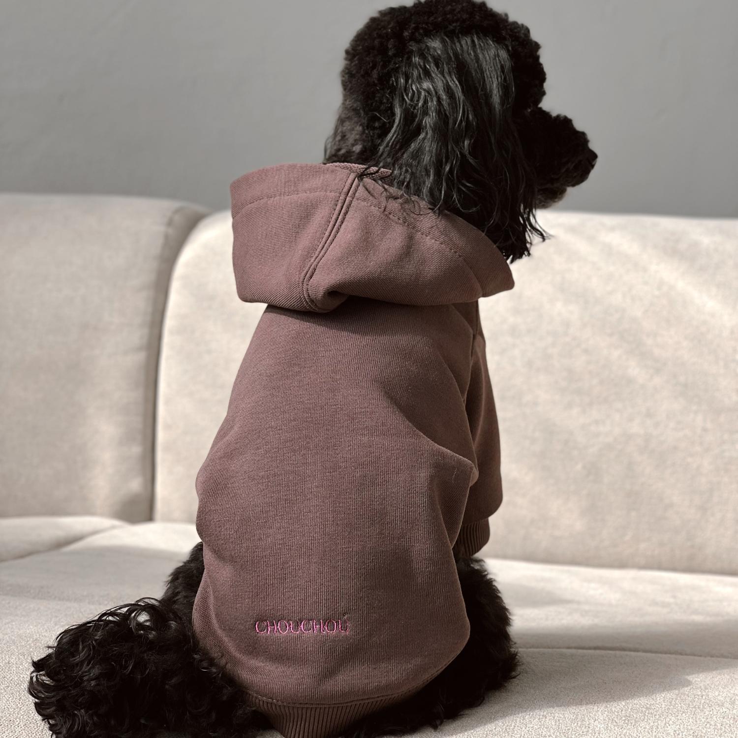 Striking visual contrast highlights a jet-black poodle facing a sunlit wall, dressed in the heavy-duty cocoa sweater with subtle pink typographic embroidery.