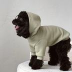 Striking color contrast as a jet-black poodle stands on a fluffy chair, modeling the light green heavy-gauge sweater with unrestricted shoulder mobility.
