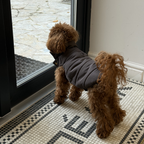 Anticipating a cold walk, a well-groomed maltipoo stands attentively at a glass door. The dark monochrome outerwear provides complete torso coverage against icy drafts.