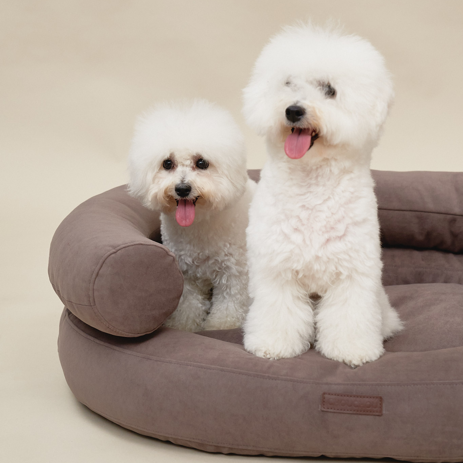 Two attentive Bichons sit perfectly supported within the embracing bolsters of the grounding soil-toned dog sofa by CacheMio.