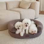 Three bright white Bichon Frises comfortably share the heavy-duty chocolate brown luxury pet lounge in a minimalist home environment.