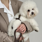Woman holding a white Bichon Frise wearing the chocolate brown premium leather dog harness and leash by CacheMio & CHOUCHOÚ.