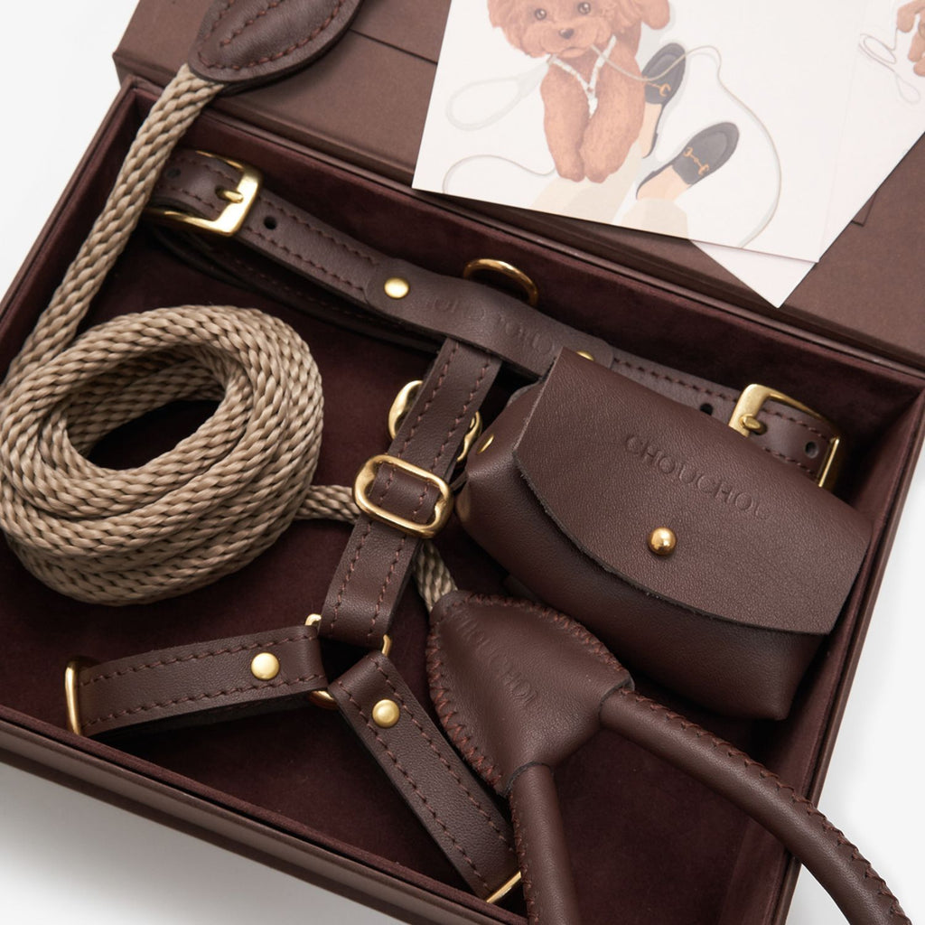 Chocolate brown premium Italian leather dog harness and waste bag holder by CacheMio & CHOUCHOÚ resting inside the gift box.