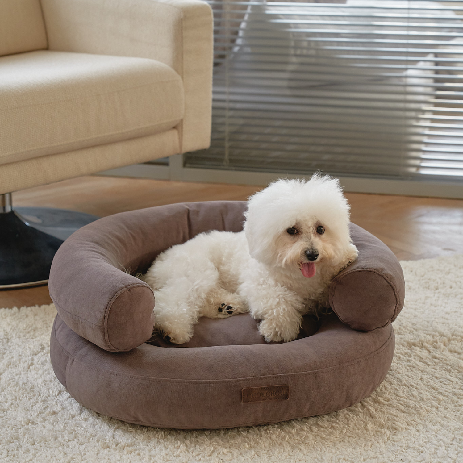 Crisp white fur contrasts sharply against the deep cocoa orthopedic sanctuary as a fluffy Bichon Frise relaxes on a textured living room rug.