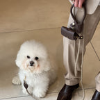Aesthetic street-style frame showing a white dog resting by its owner's boots, highlighting the seamless dark brown waste bag pouch and rope handle.
