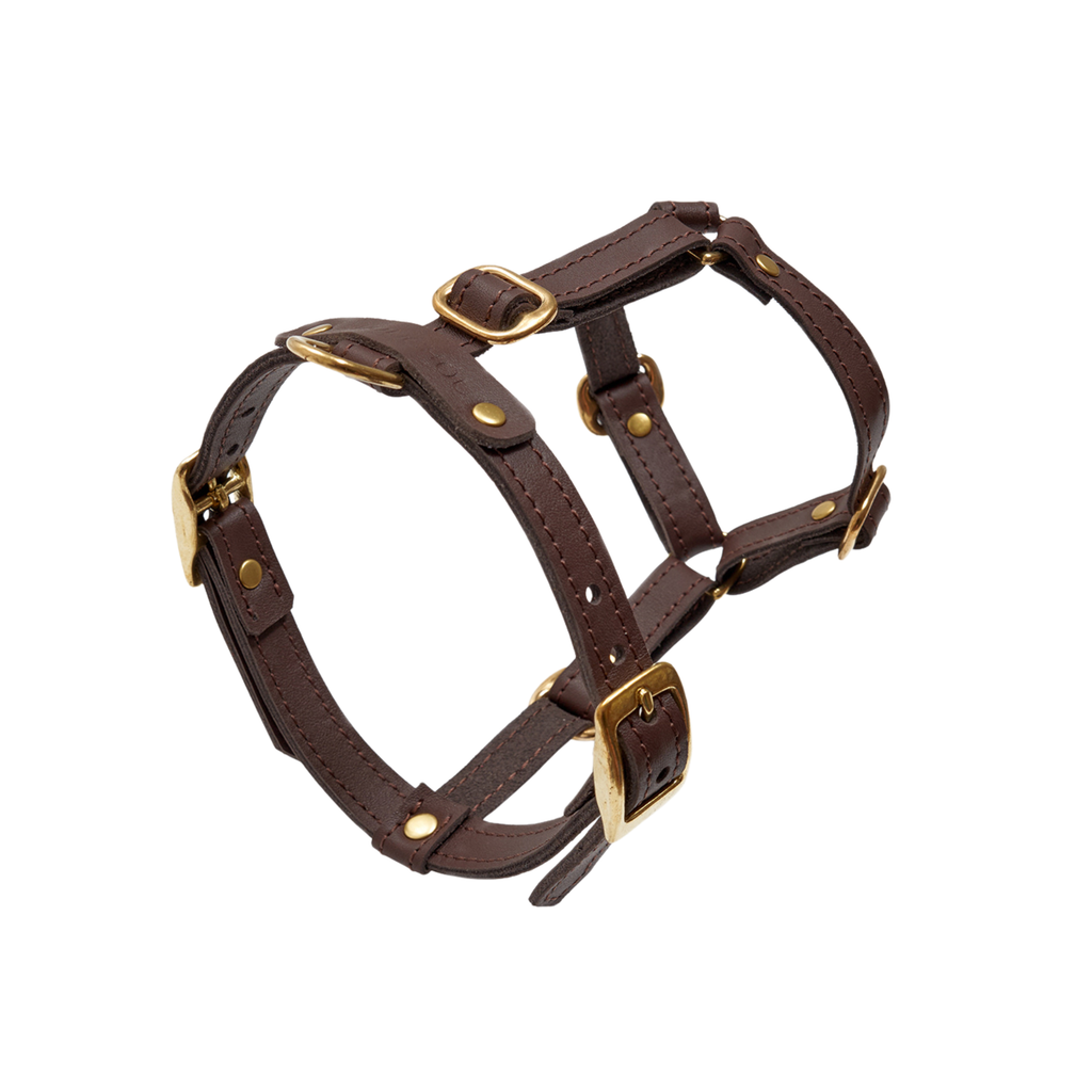 Lateral structural perspective of the deep brown pet gear, emphasizing the ergonomic side clearance and heavy-duty golden-tone buckles.