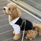 Urban pet fashion elevated by the seamless integration of a dark green premium leather harness worn over a monochrome dog outfit on wooden decking.