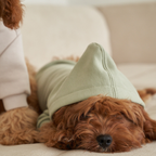 Resting peacefully on a textured bouclé surface, a brown maltipoo demonstrates the enveloping comfort and soft fabric drape of the green hooded garment.