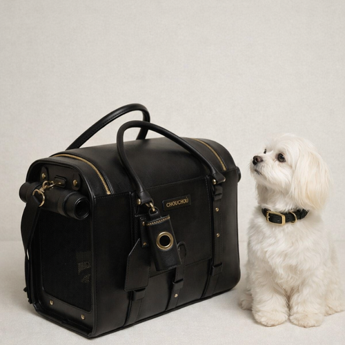 A fluffy white Maltese waits patiently beside the sleek, tarmac-ready black leather carrier, demonstrating the optimal dimensions for under-seat airplane storage.