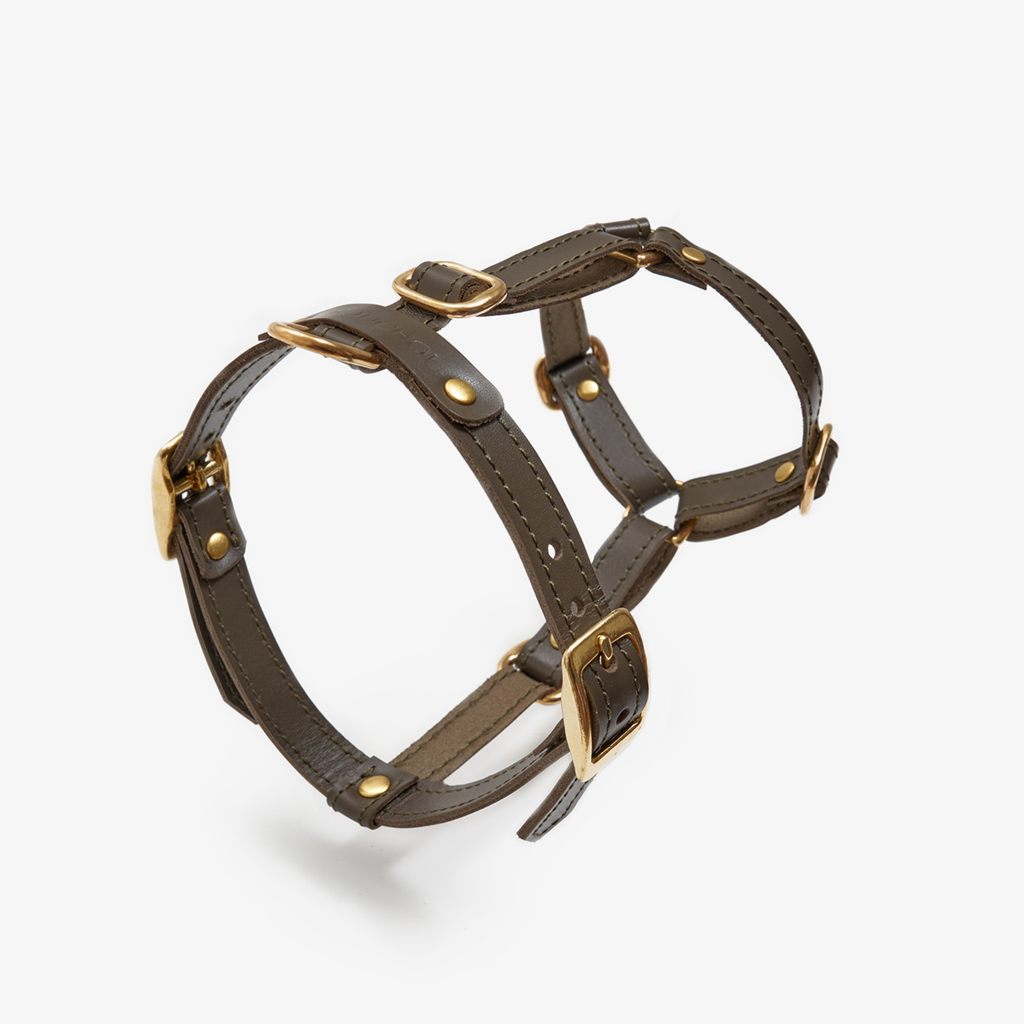 Frontal focus on the deep green leather breastplate, meticulously engineered to protect the dog's trachea during energetic forward pulls.
