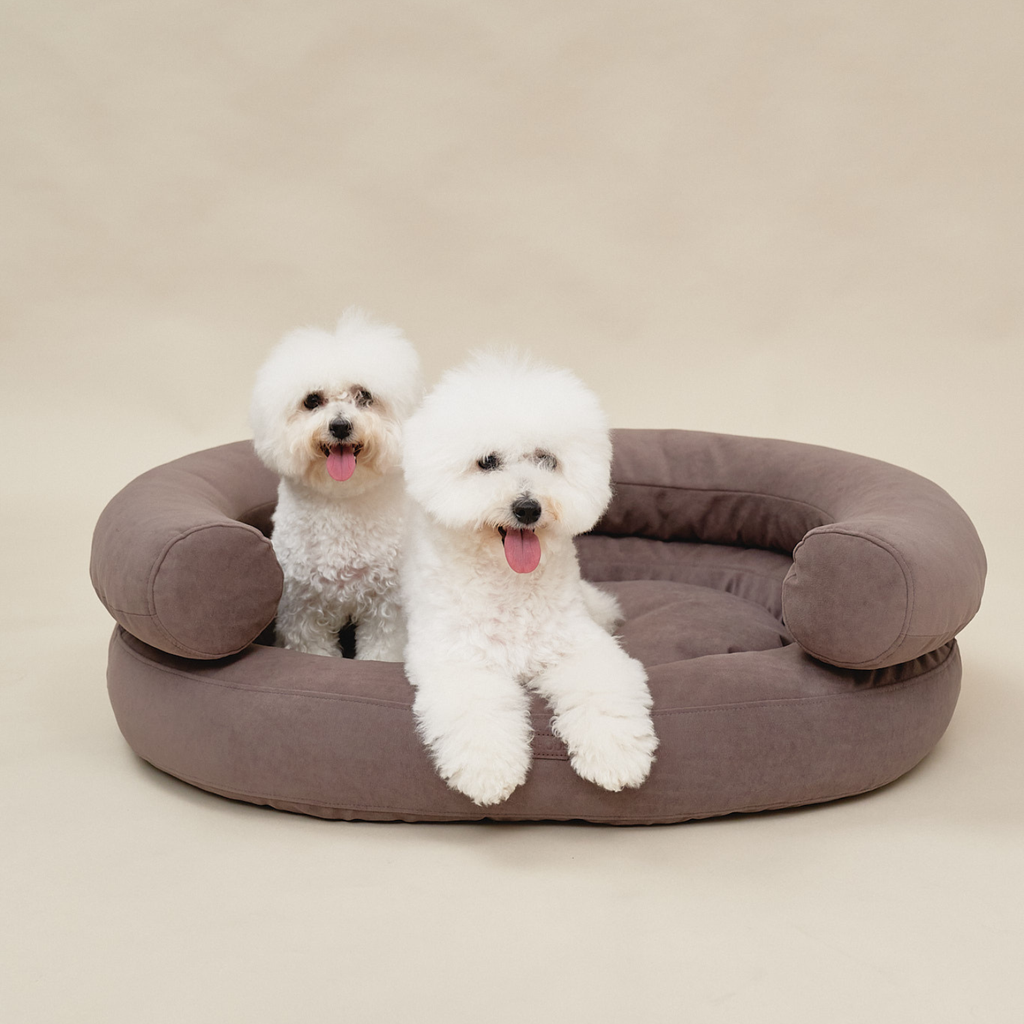 Structural stability is demonstrated as two fluffy white companions stand and rest confidently along the thick borders of the brown resting space.