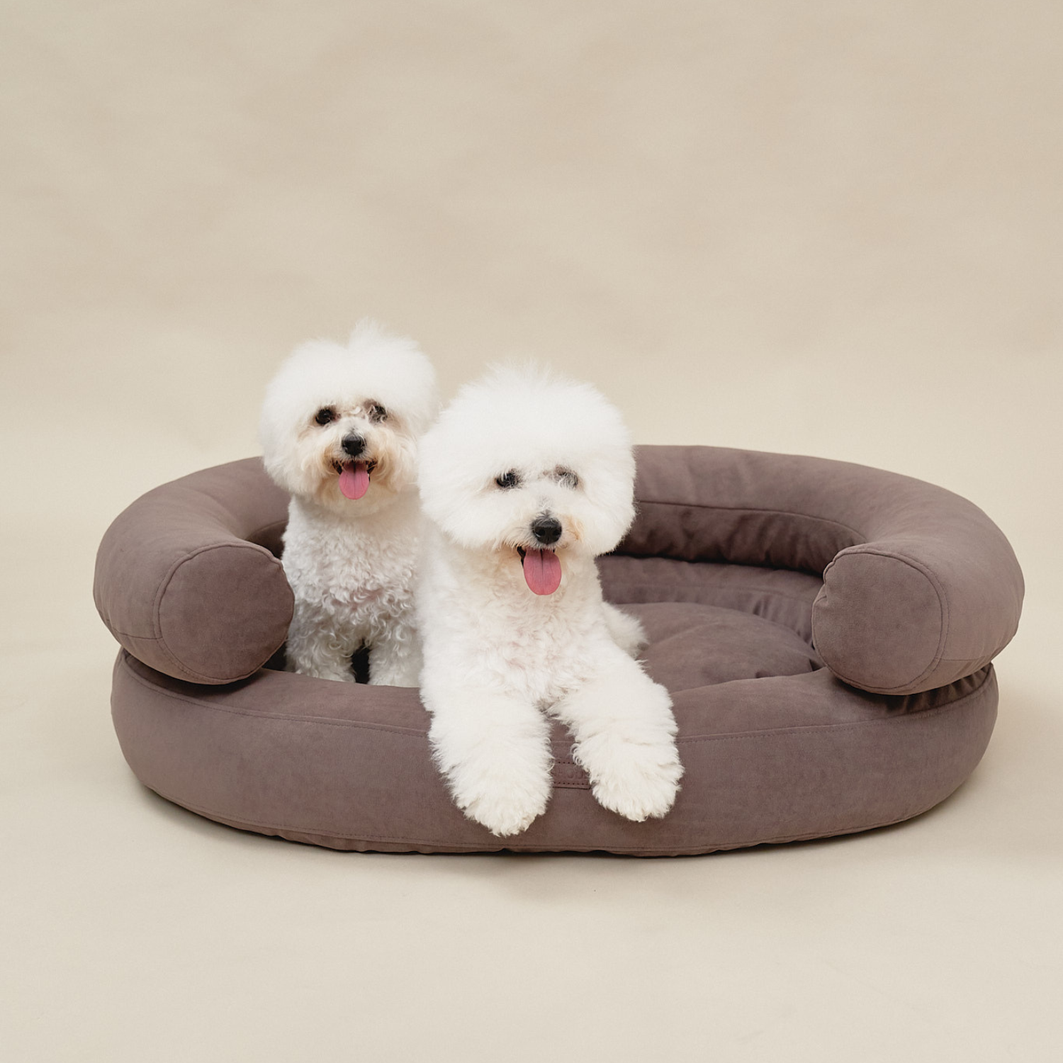 Structural stability is demonstrated as two fluffy white companions stand and rest confidently along the thick borders of the brown resting space.