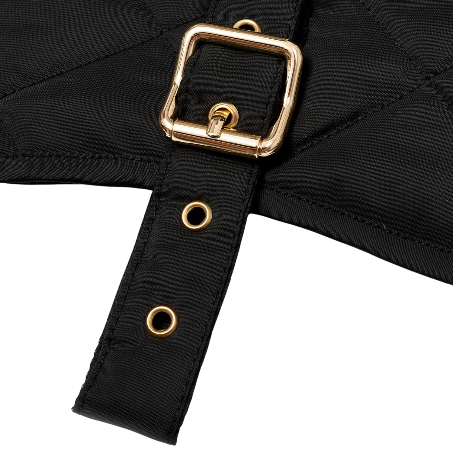 Extreme close-up of the striking gold-tone brass buckle against the deep black fabric of the CacheMio & CHOUCHOÚ premium pet outerwear.