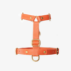 Direct frontal presentation of the trachea-free breastplate, emphasizing the striking tangerine color and reinforced edge stitching.