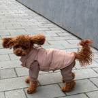A curly brown maltipoo confidently braves a brisk city walk, shielded by the high-performance insulated pet vest. The windproof shell flawlessly deflects harsh gusts while maintaining a chic aesthetic.