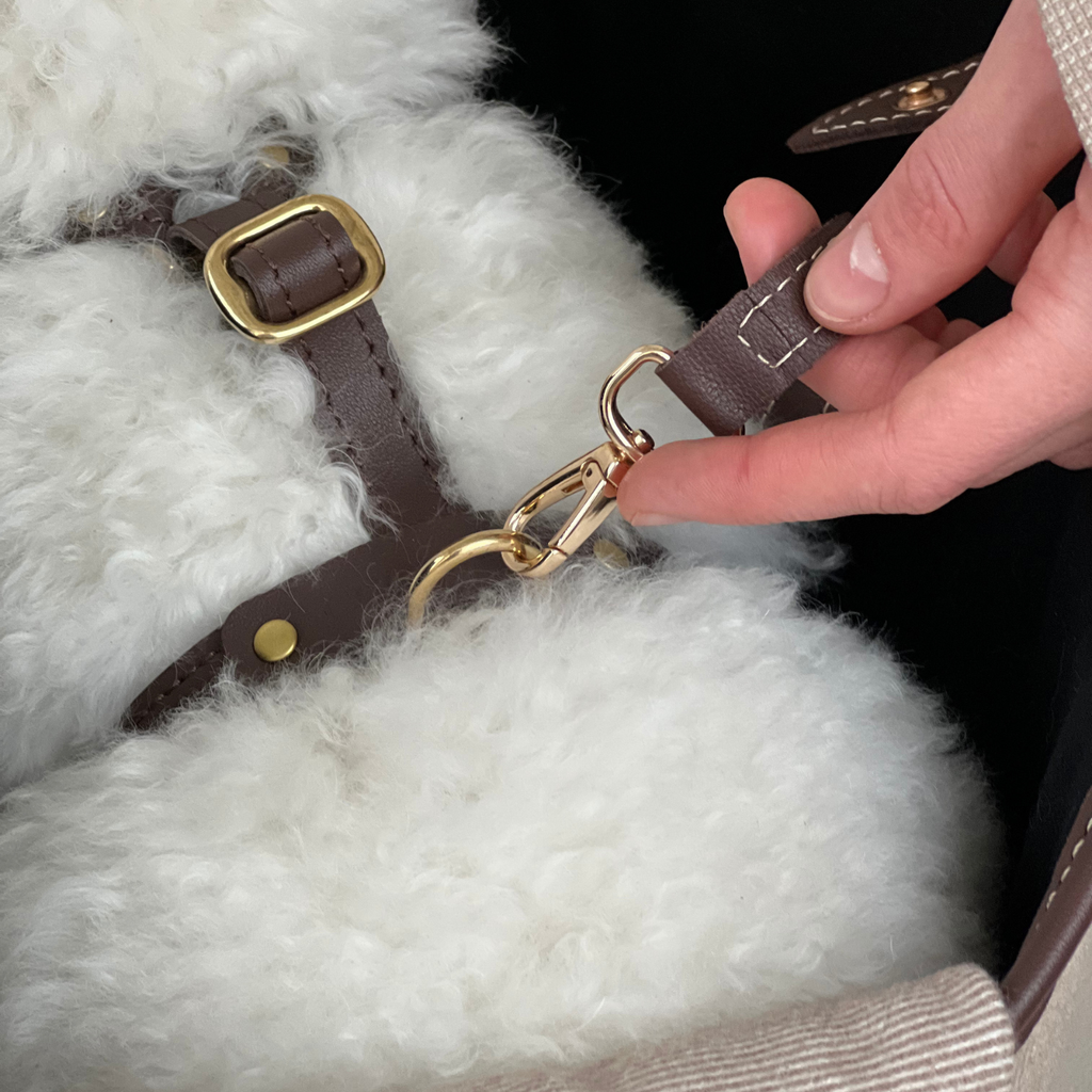 Golden brass hardware connects the integrated internal safety tether to the dog's harness, ensuring absolute security during daily commutes.