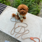 Urban exploration in a modern city park. A brown maltipoo stands on a concrete bench wearing the pistachio hoodie seamlessly layered under a tan leather harness.