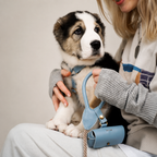 An adorable large-breed fluffy puppy experiences its first premium walking gear, wearing the highly adjustable pastel blue leather chest harness.