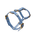 Suspended against a crisp white background, the sky-toned leather chest strap reveals its sophisticated architectural structure and secure brass fittings.
