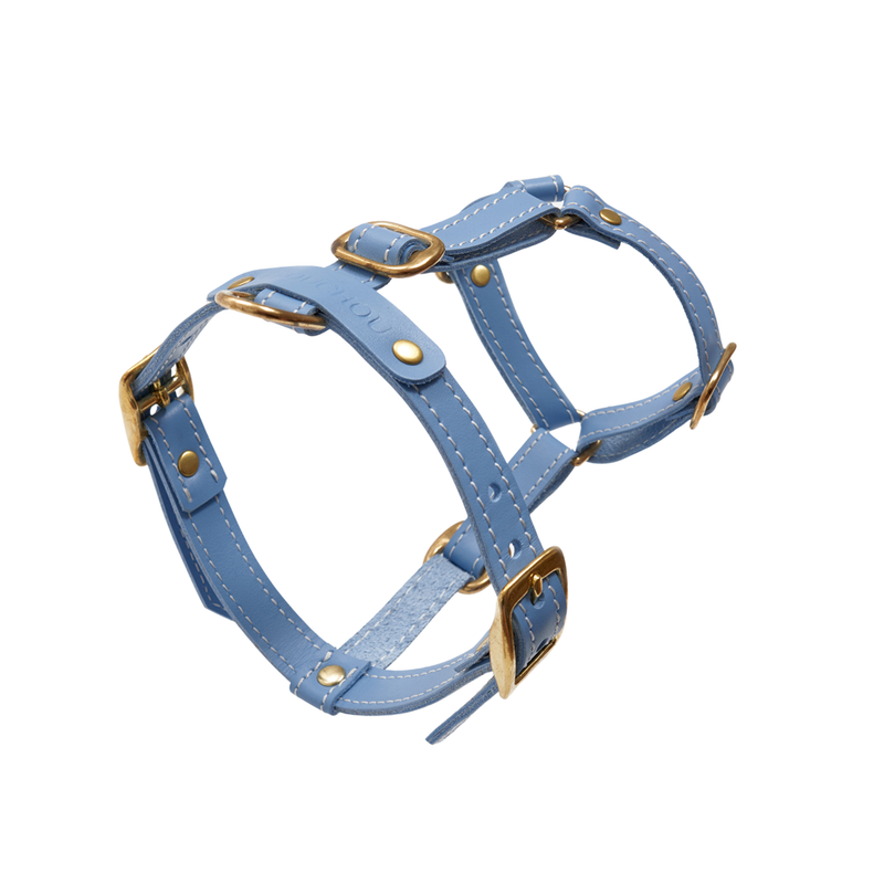Anatomical Leather Dog Harness (Light Blue) | CacheMio x CHOUCHOÚ