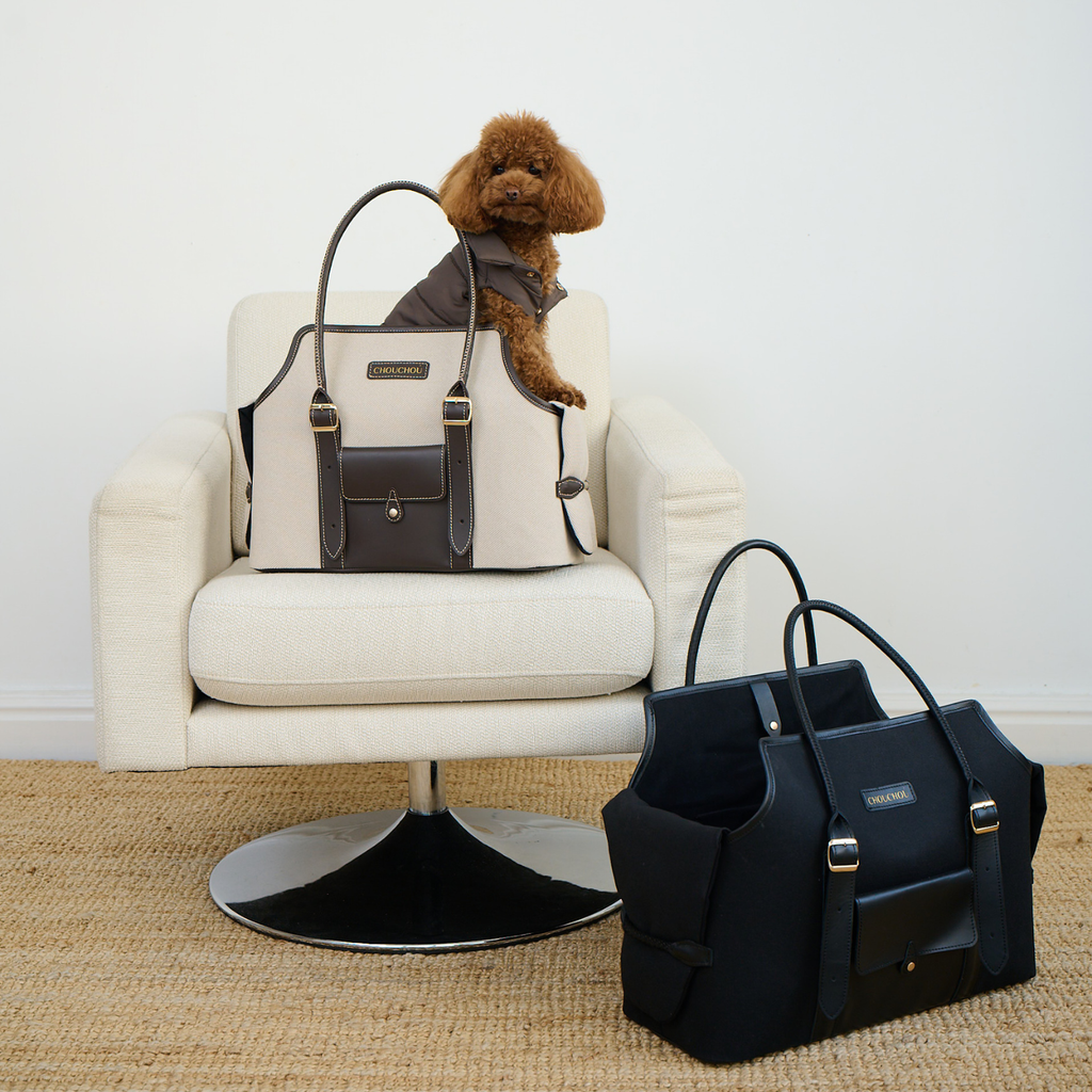 A curious brown maltipoo observes the room from the elevated beige designer tote resting on a cream armchair, while the striking black edition sits gracefully on the sisal rug below.