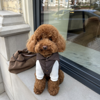 Waterproof Puffer Dog Vest (Brown) | CacheMio x CHOUCHOÚ