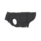 Architectural lines dictate the shape of this midnight black canine winter garment. Displayed laterally, the water-defying shell and golden fasteners highlight its utilitarian stealth design.