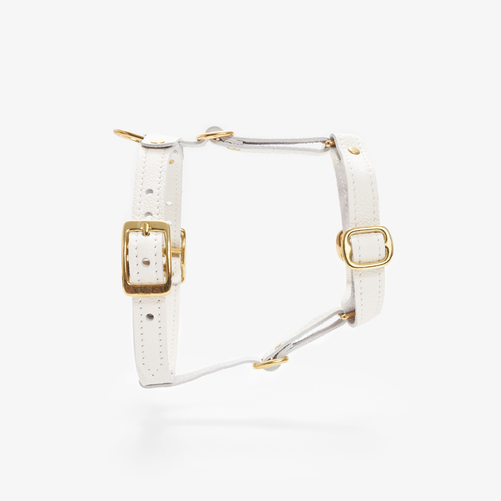 Spotlighting the pristine white leather profile and golden brass hardware, this anatomical chest strap sits flawlessly against a stark studio background.