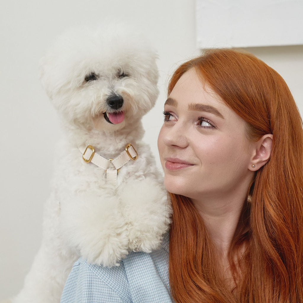 Captured in a moment of affection, a stylish owner and her white companion perfectly model the minimalist ivory leather walking aesthetics.