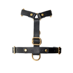 Unclasped monochrome harness displayed against a void background, mapping out the symmetrical six-point sizing calibration.