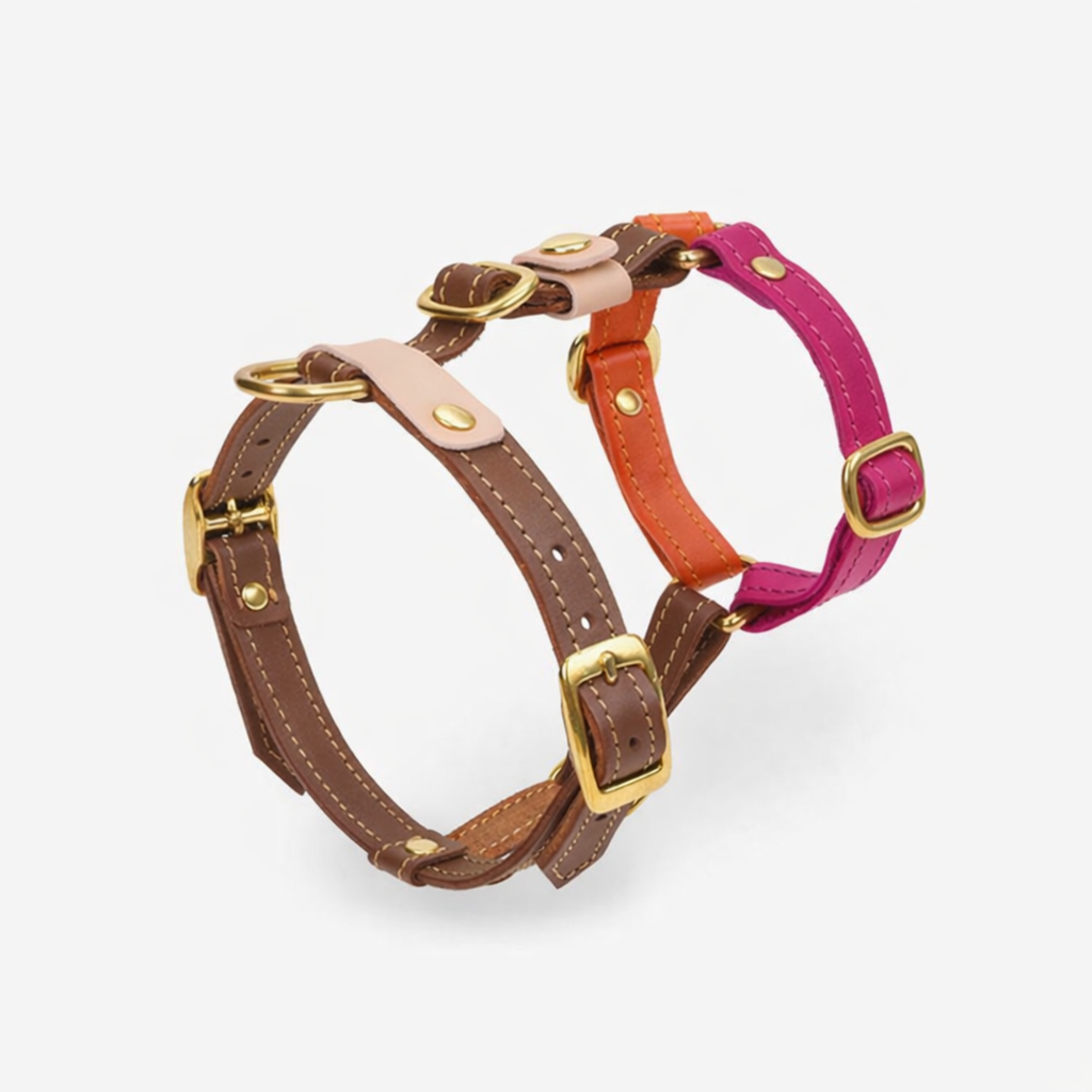 Multi-tone color-block construction dictates a structured profile, highlighting the secure Y-neck geometry of this expressive walking accessory.