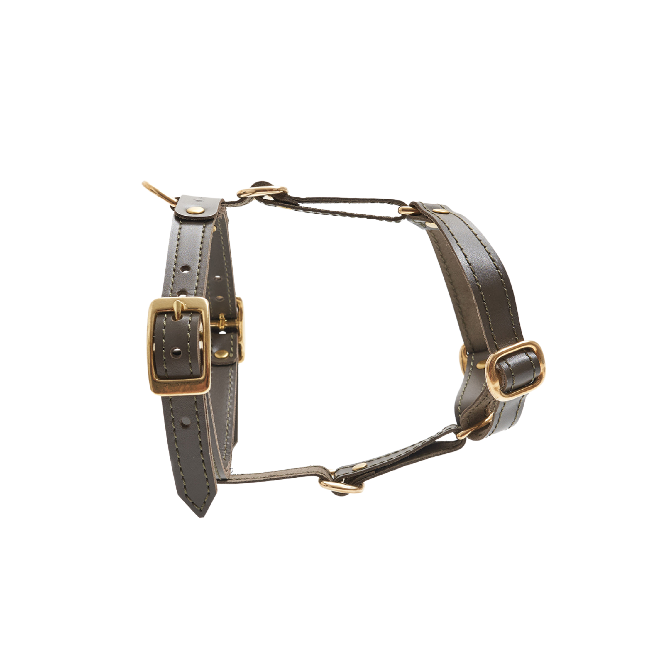 Lateral perspective of the nature-inspired canine chest strap, highlighting the ergonomic curvature designed for unrestricted shoulder movement.