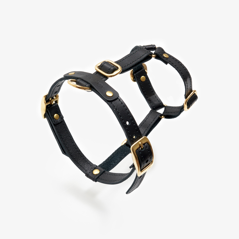 Anatomical Leather Dog Harness (Black) | CacheMio x CHOUCHOÚ
