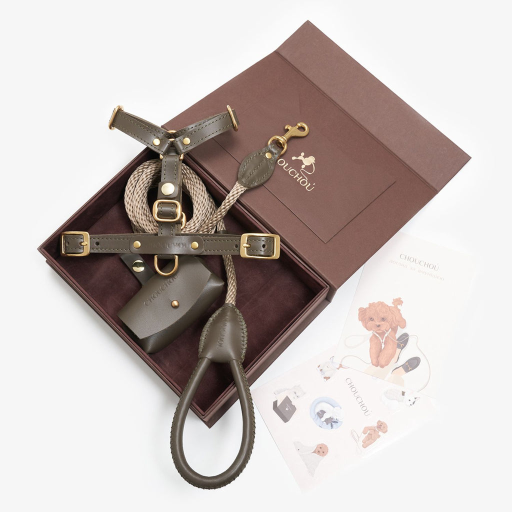 Top-down view of the luxurious Olive green leather dog walking set by CacheMio & CHOUCHOÚ, beautifully presented in a magnetic gift box with care cards.