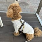Back view of a maltipoo wearing a white shirt and the CacheMio & CHOUCHOÚ Olive green leather harness, highlighting the solid brass hardware and leash attachment.