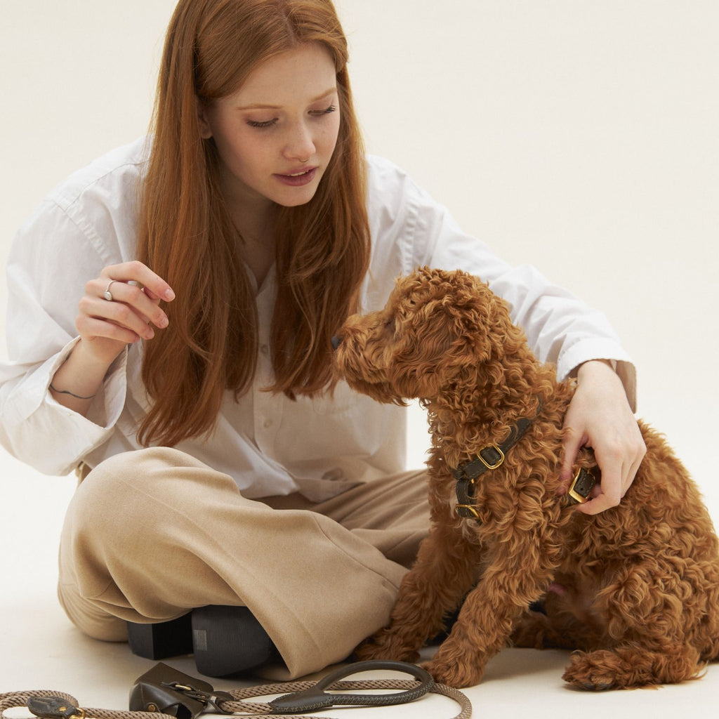 A tender lifestyle portrait capturing the connection between a red-haired owner and her dog, complemented by the sophisticated green walking attire.