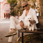 A relaxed urban lifestyle moment capturing a man on a wooden bench with his white dog, accompanied by classic brown walking equipment.