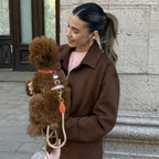 Smiling owner in a brown jacket affectionately holds her maltipoo, showcasing the vivid tangerine and pink accents of the avant-garde pet vest.