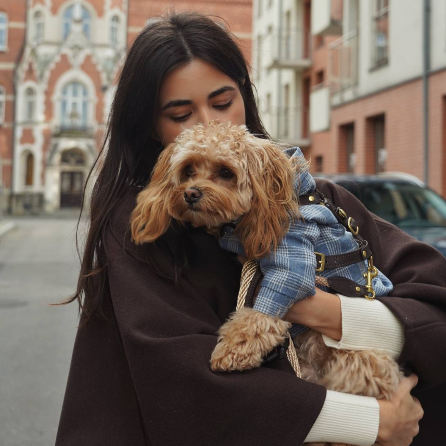 A stylish woman in a brown coat holds her maltipoo, showcasing the dog's tailored blue tartan shirt and premium leather walking harness.