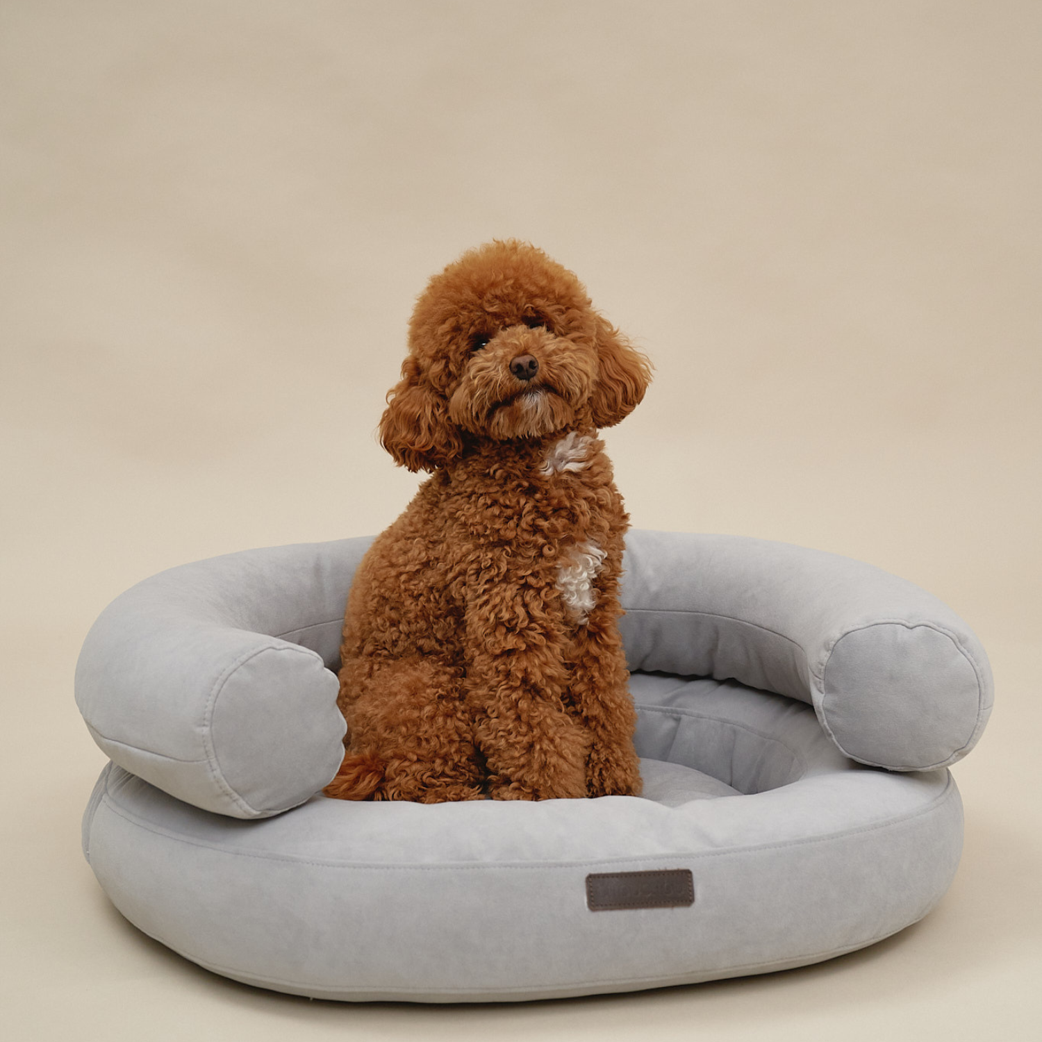 Vibrant apricot curls of a maltipoo create a striking warm contrast against the cool, soothing grey textile of the supportive dog sofa.