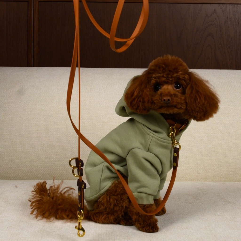 Seamlessly merging premium walking hardware with everyday loungewear. A small brown maltipoo models a muted green hooded jacket secured by a rich leather leash.